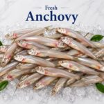 Fresh Anchovy