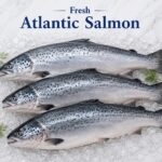 Fresh Atlantic Salmon