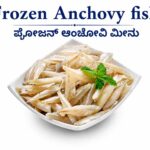 Frozen Anchovy Fish