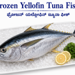 Yellowfin tuna