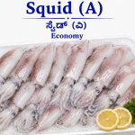 Squid