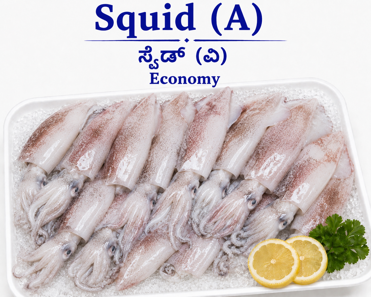 ELFT5508 Squid - Image 1