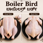 boiler bird
