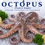 Octopus
