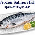 Salmon
