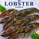 Rock Lobster