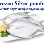 Silver Pomfret