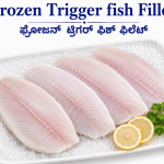 Trigger fish fillet