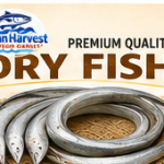 Ribbon fish