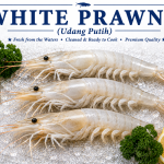 White Prawns