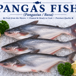 Pangas / Basa