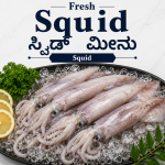Squid/Kanava/Bondas