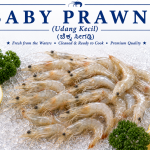 Baby Prawns