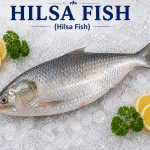 Hilsa
