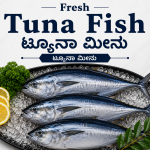 Tuna Fish