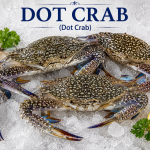 Dot Crab