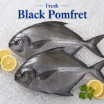 Black Pomfert
