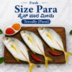 Size Para