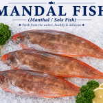 Mandal Fish