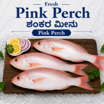 Pink Perch