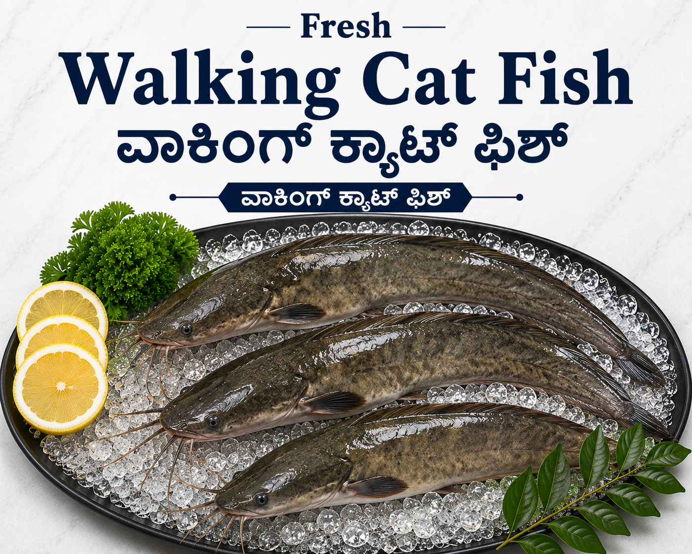 WHNQ6140 Cat fish - Image 1