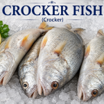 Crocker