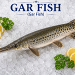 Gar Fish